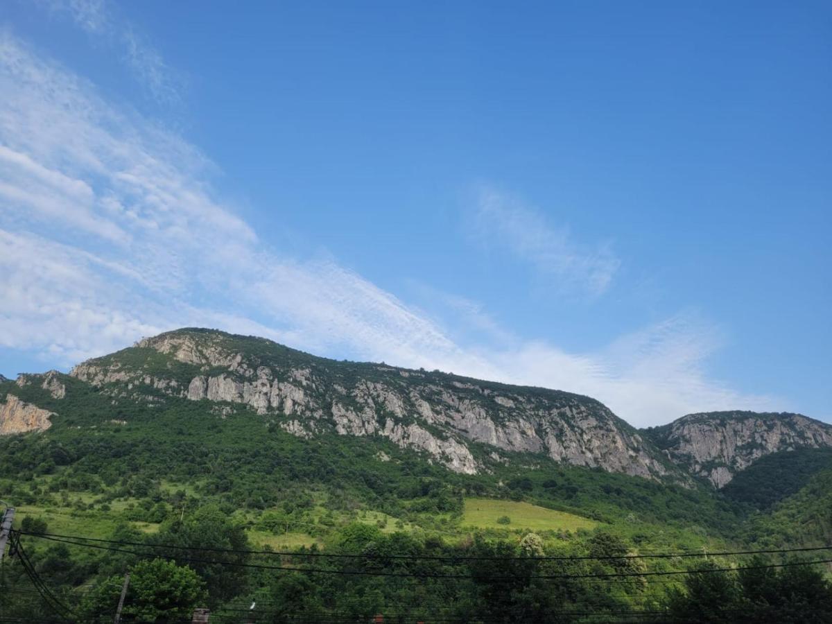 Villa Casa Basu Băile Herculane Esterno foto