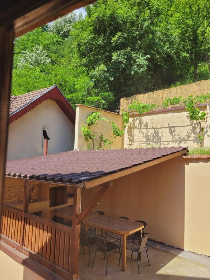 Villa Casa Basu Băile Herculane Esterno foto